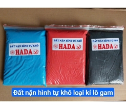 Đất nặn hình tự khô